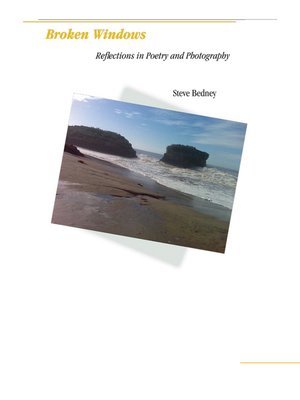 cover image of Broken Windows
